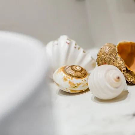 Apartamento Happy Monte Cassino 40